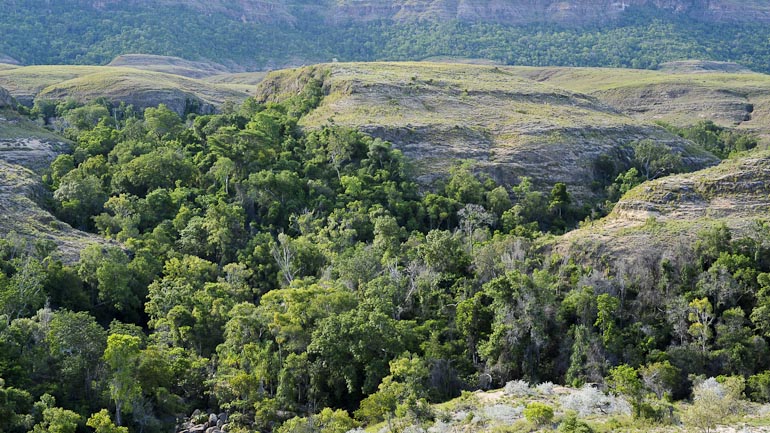 Forêt Ambotorabotorano