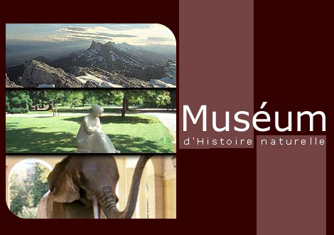 Logo Museum Grenoble