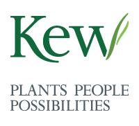 Kew logo