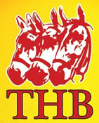 Logo THB