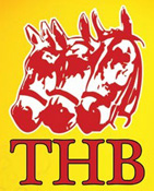 THB logo