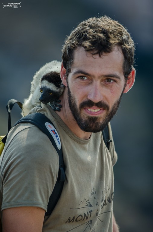 Un lémurien s'attache à un randonneur lors d'un trek