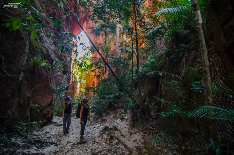 Makay canyons filled with lush vegetation