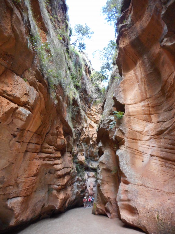 Trek à travers un canyon du Makay