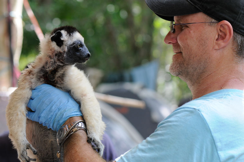 Primatologist Ed Louis and a Glass Sifaka