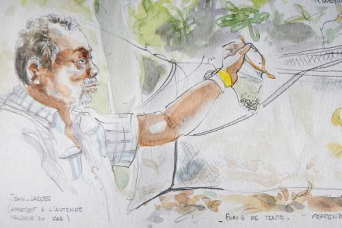 Jean-Jacques Rafanomezantsoa, scientifique malgache des fourmis par Auka