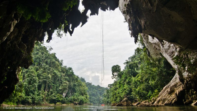 Scientific expedition on the island of Sulawesi in Indonesia