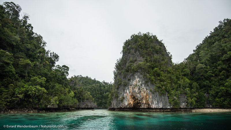 Le théâtre de nos nouvelles missions d'écovolontariat sur l'île de Sulawesi en Indonésie.