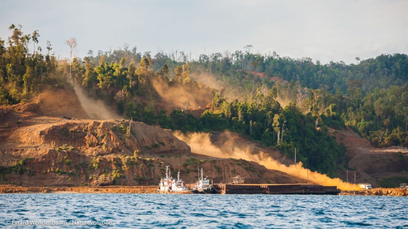 L'exploitation des mines de nickel dans la baie de Matarape, sur l'île de Sulawesi.