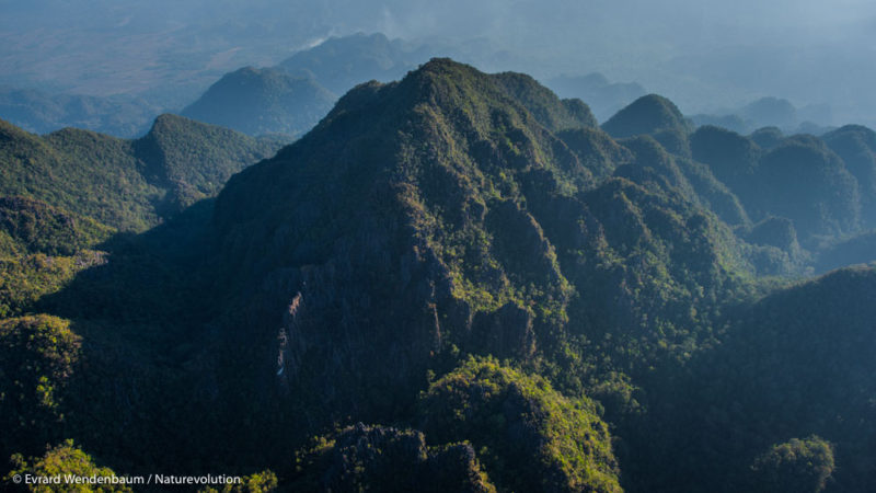 Le massif de Matarombeo, Nord Konawe, Sulawesi, Indonésie