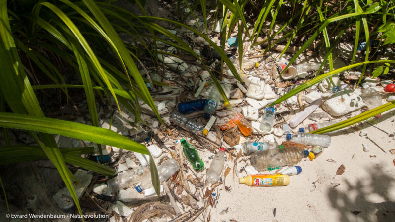 La pollution aux déchets plastiques dans la baie de Matarape