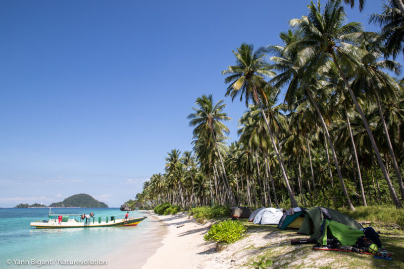 Ecovolunteer camp on Labengki Island, Sulawesi, Indonesia