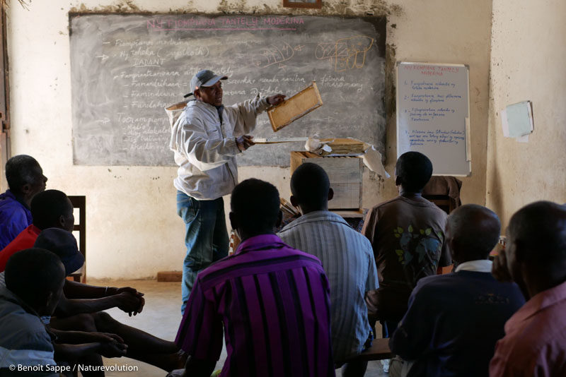 Beekeeping training in the village of Beroroha