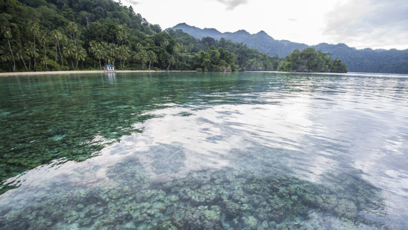 La baie de Matarape est parsemée d'îlots karstiques et de petites plages. Sulawesi, Indonésie.