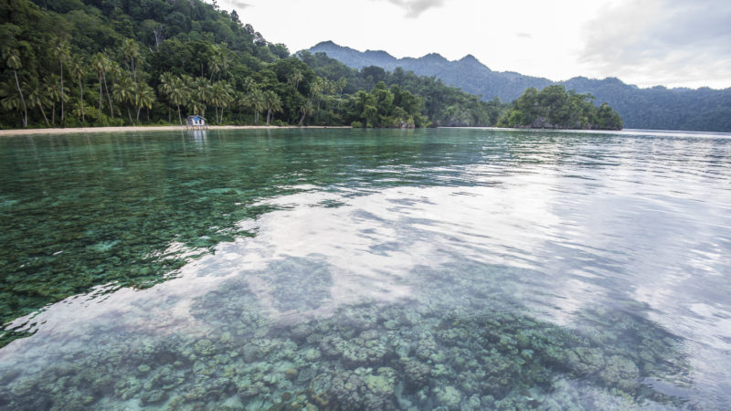 Matarape Bay is dotted with karstic islets and small beaches. Sulawesi, Indonesia.