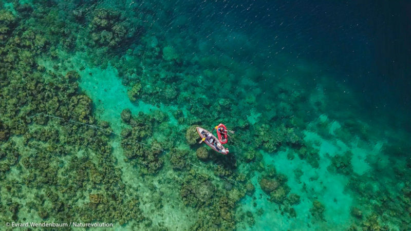 Suivi Reef Check des récifs coralliens. Baie de Matarape, Sulawesi, Indonésie.
