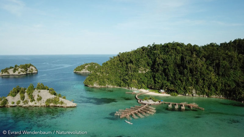 Ecolodge under construction in Matarape Bay.