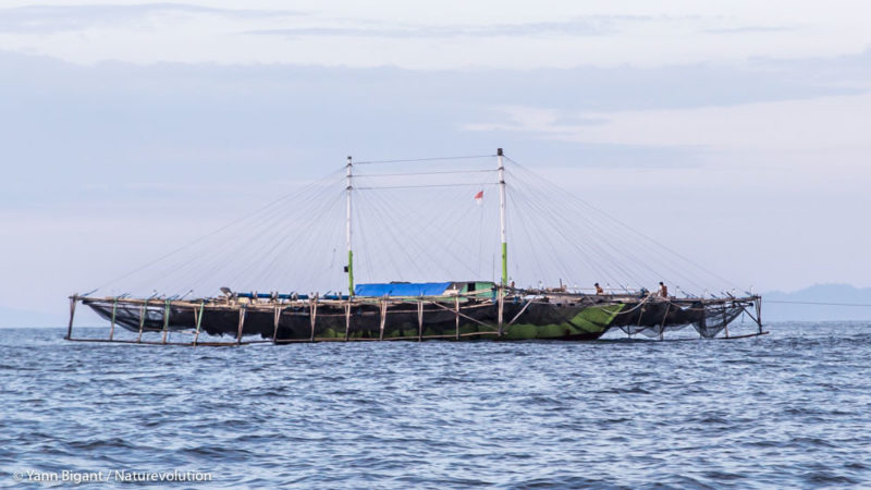 Plateforme de pêche dans la baie de Matarape.