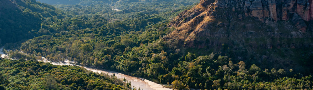 Forêt dans le massif du Makay