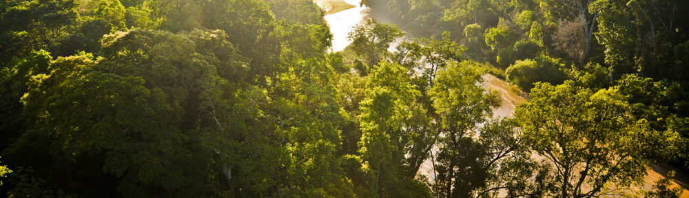 Forêt du Makay, Madagascar