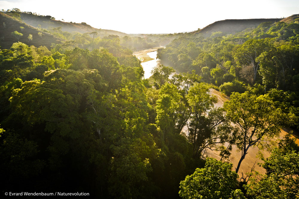 Forêt du Makay, Madagascar