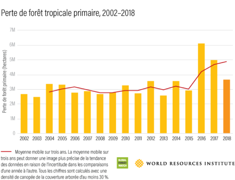 Graphique présentation la perte de forêt tropicale entre 2002 et 2018.