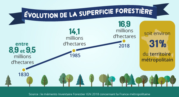 Evolution de la couverture forestière en France entre 1830 et 2019.