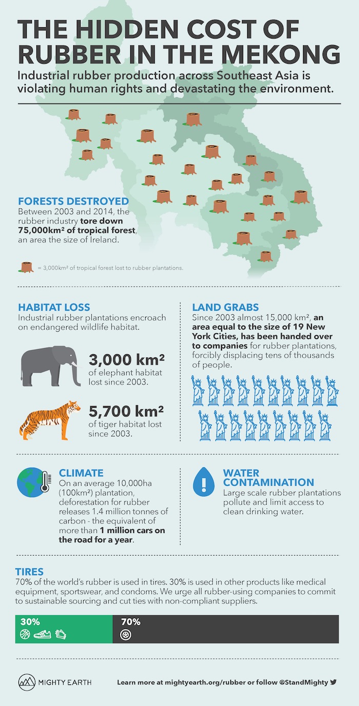 The Impact of Car Tires on the Forest in Southeast Asia