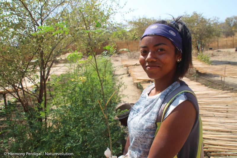 Stéphanie Razafimanonjy, chef de projet Reboisement