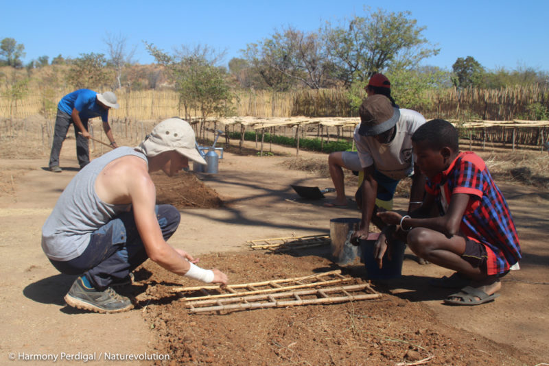 Sowing in tree nurseries in Madagascar