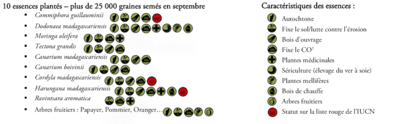 Liste des essences d'arbres plantées dans le cadre du projet de reboisement et leur utilisation