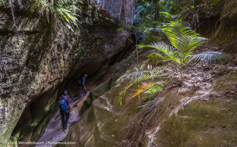 Discovery of the Makay massif by ecovolunteers