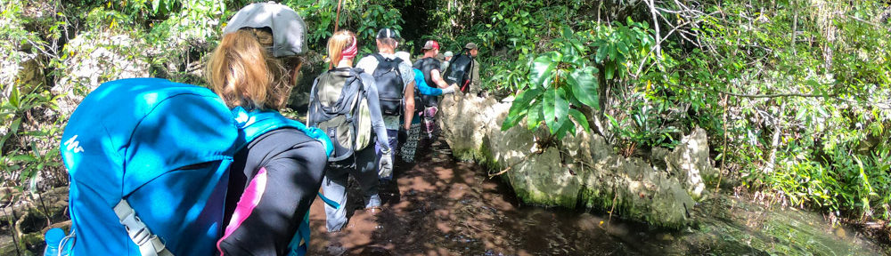 Découverte de la jungle des îlots de la baie de Matarape