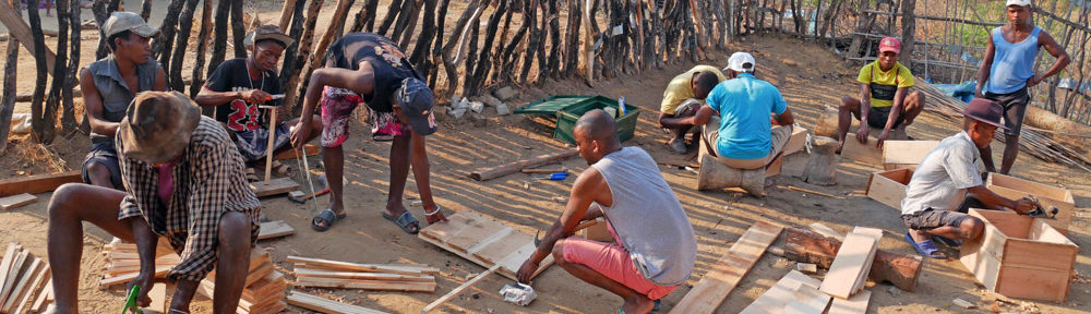 Construction de ruches pour le développement de l'apiculture dans le Makay