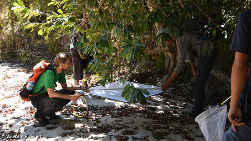 Participatory science missions in Madagascar's Makay region