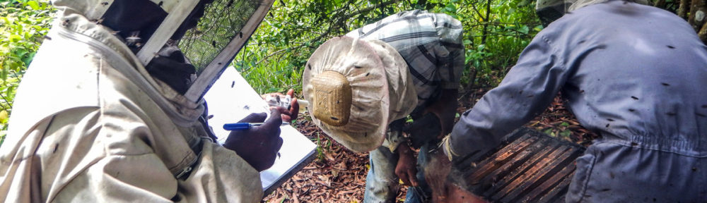 Apiculteurs du Makay en formation à Manakara, Madagascar