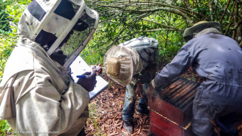 Apiculteurs du Makay en formation à Manakara, Madagascar