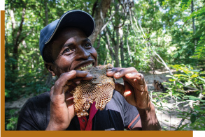 Beekeeping to supplement income