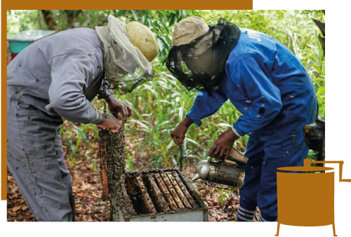 Beekeeping Photo_beekeepers