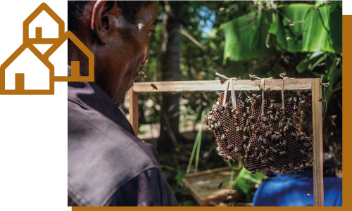 Beekeeping Photo_frame