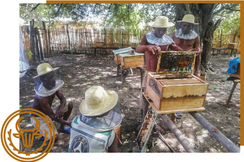 Apiculture Photo_ruchers