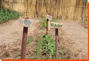 Diversification alimentaire