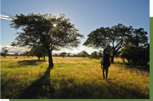 Ecogardes suivi scientifique