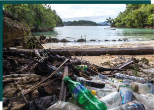 Gestion des déchets