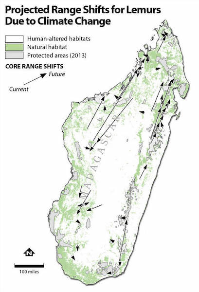 Evolution of potential lemur habitats in response to global warming