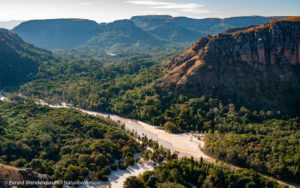 Forest in the Makay massif