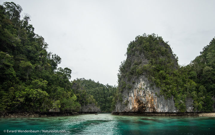 Le théâtre de nos nouvelles missions d'écovolontariat sur l'île de Sulawesi en Indonésie.