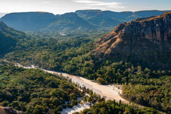 Forest in the Makay massif