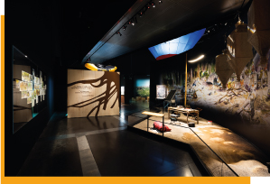 Exposition sur le Massif du Makay au Musée des confluences de Lyon