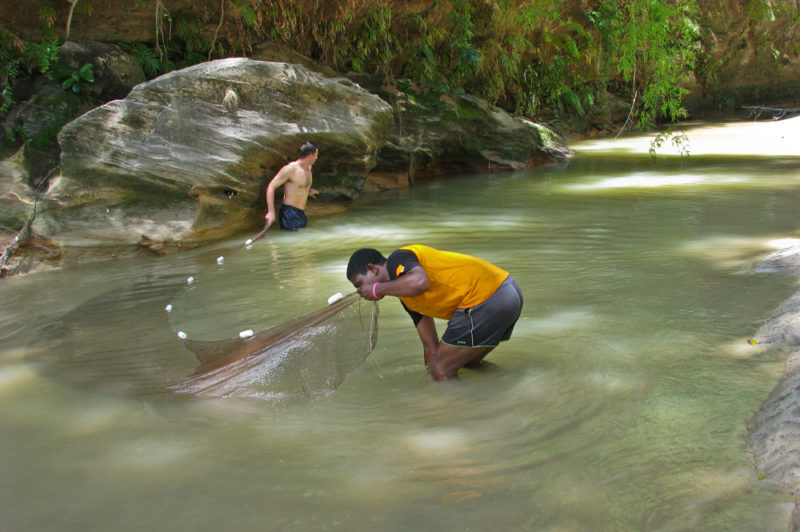 ecovolunteering fish study